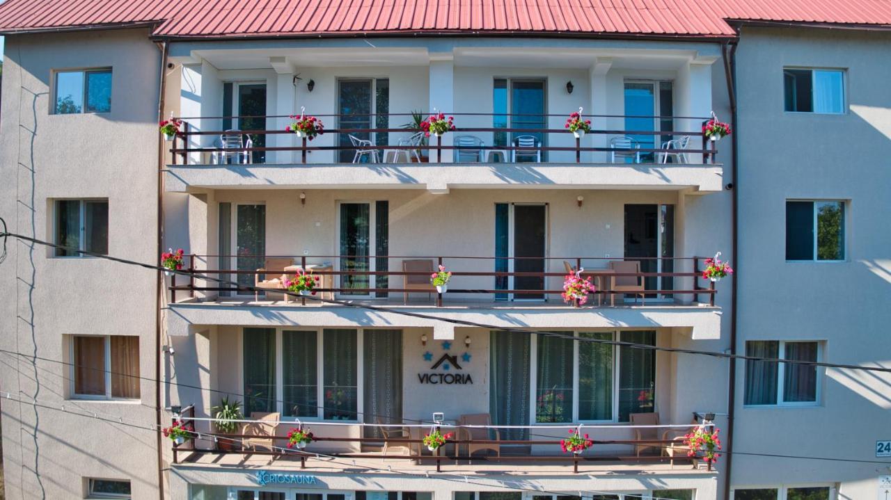 Vila Victoria Râmnicu Vâlcea Екстериор снимка