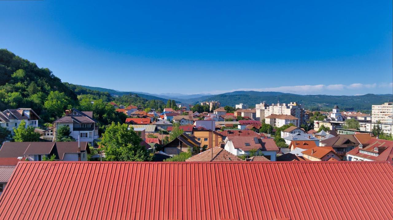 Vila Victoria Râmnicu Vâlcea Екстериор снимка