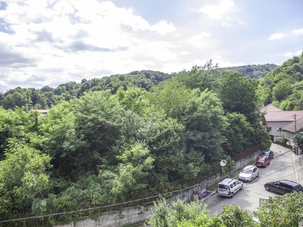 Vila Victoria Râmnicu Vâlcea Екстериор снимка