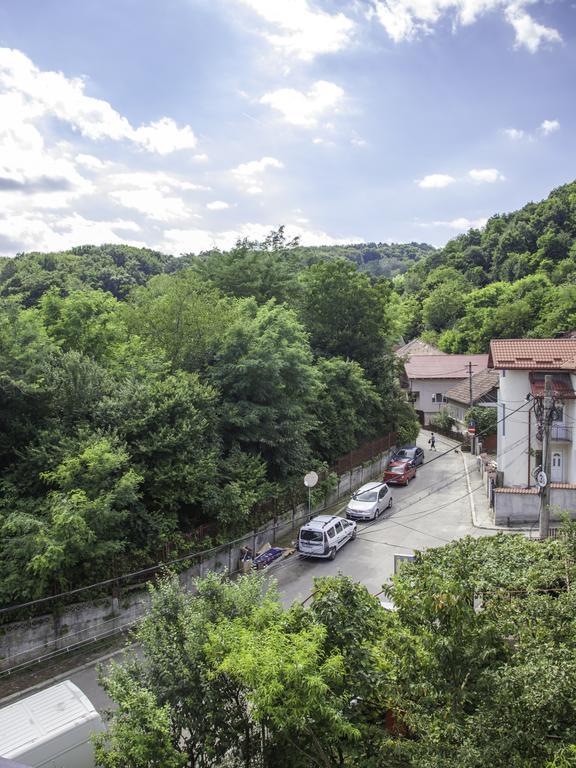 Vila Victoria Râmnicu Vâlcea Екстериор снимка